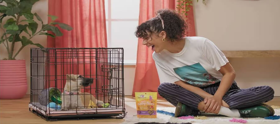 "How to Crate Train Your Puppy: Step-by-Step Guide for New Owners"